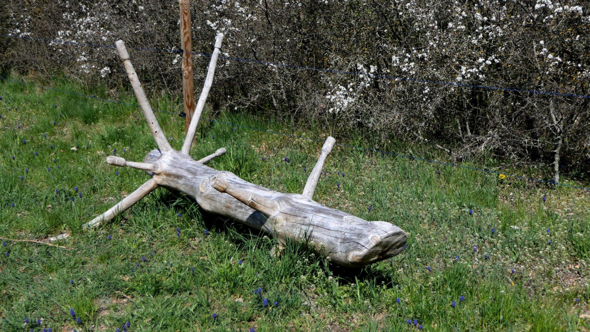 verger de la Balastière