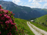 Les Alpages de Rosset - la Chail