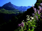 la Rêbe