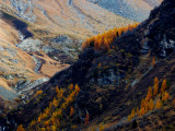 la Rêbe