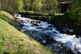 Ponturin
