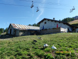 Bergerie du Rey