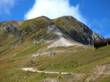 aiguille grive