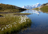 Lac des Moutons - Grand Col