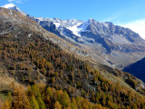 bois du Barmail