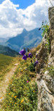 Col de l'entreporte