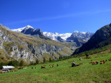 la culaz