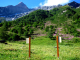 sentier lecture depaysage Rosuel