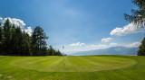 Terrain