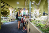 Museum des Animaux de Montagne
