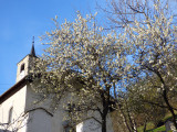 eglise de peisey