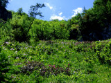 Croix Bozon