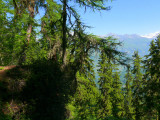 Croix Bozon