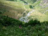 Epinerie