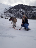 Pass montagne - Schneeschuh-Spaziergänge und Wanderungen_Peisey-Vallandry