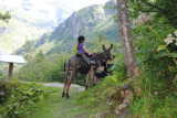 Au Baudet Malin_Peisey-Vallandry