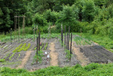 jardin_potager_landry_9_juin_2021_5.jpg