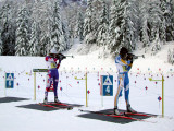 Pas de tir de biathlon