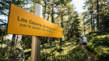 Sentier des Arollins