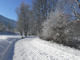 Piste de fond le long de l'Isère à Landry
