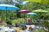 terrasse_fleurie_ptit_resto.jpg