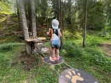 Gli'Air Parcours dans les arbres