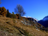 Sentier des noisettes