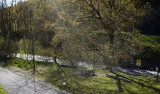 Vue en été à Landry