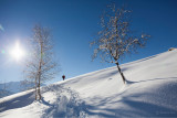 Snowshoes
