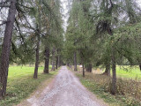 Balade