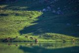 Refuge entre-le-lac : lac de la Plagne