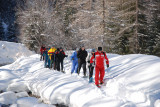Raquette forêt