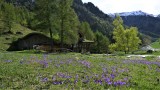 refuge-porte-parc-national-vanoise-rosuel-19-90081