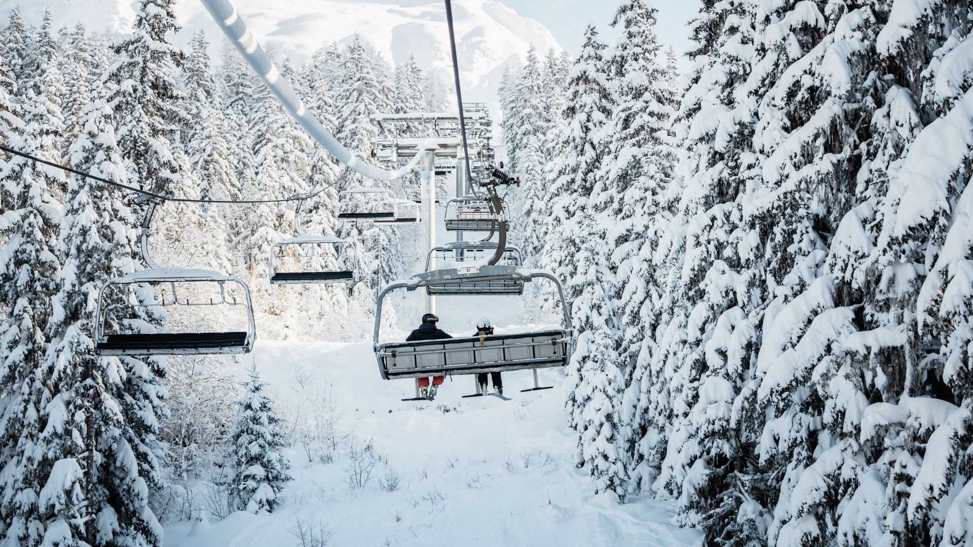 t-l-si-ges-et-sapins-enneig-s-135382