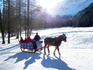 Balade en traîneau
