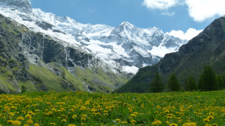 vallon de Rosuel