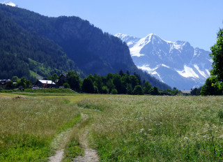 nancroix