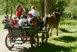 Fer à cheval