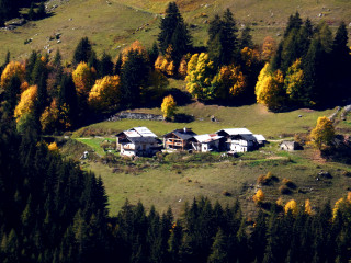 les esserts