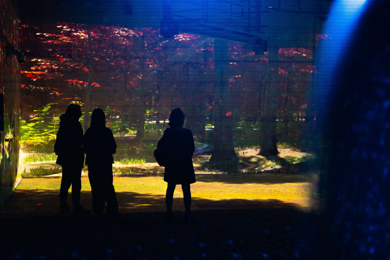 Les Fresques Lumineuses