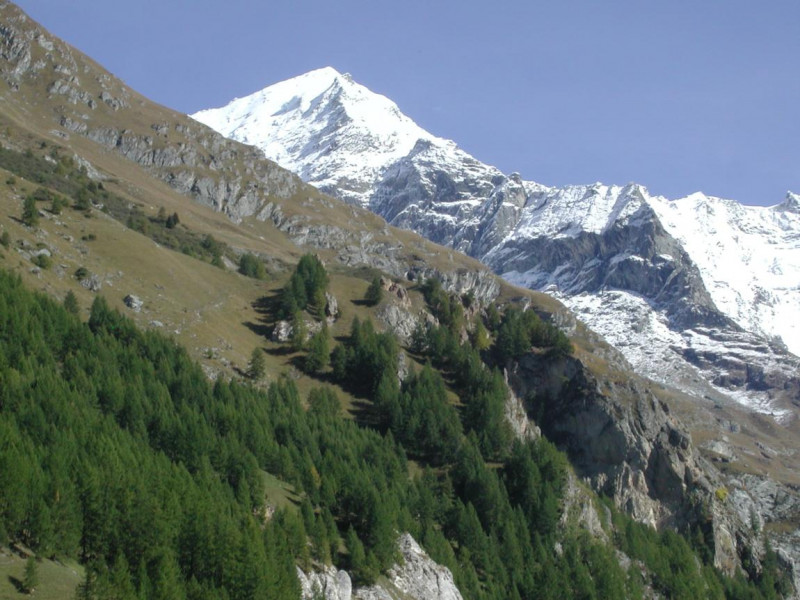 Le Mont-Pourri