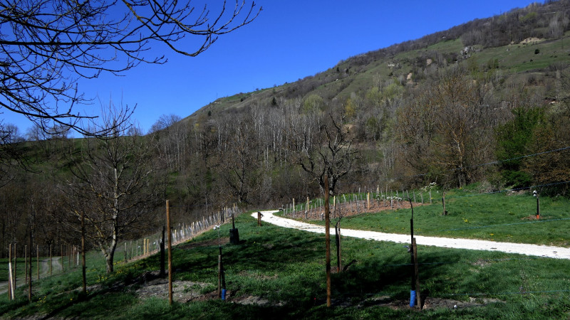 Le Verger de la Balastière