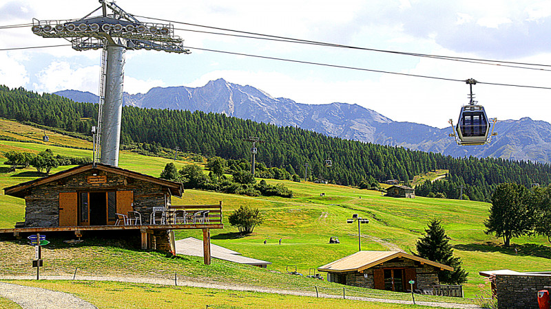 Cabane accueil