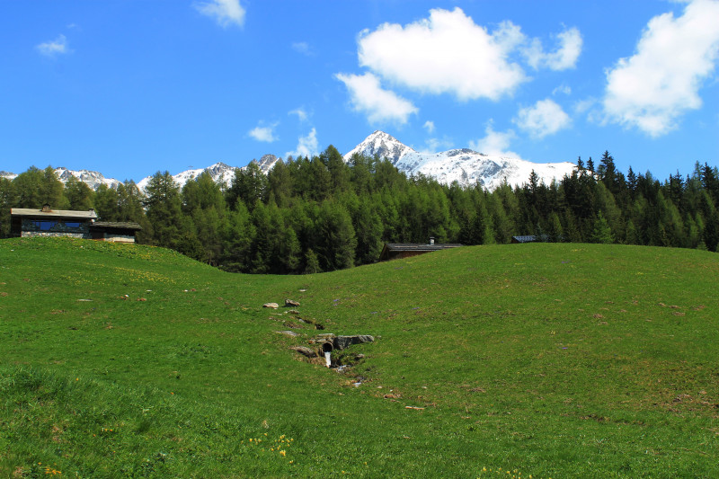 la maïtaz