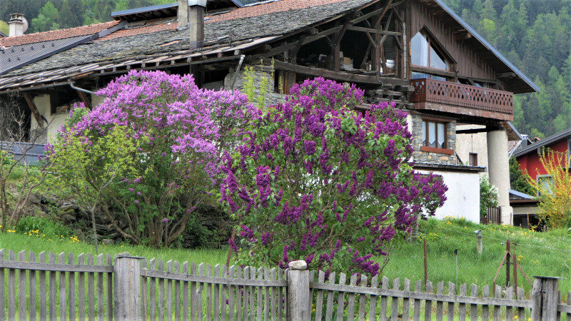 Circuit des poussettes