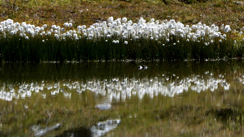 lac des moutons