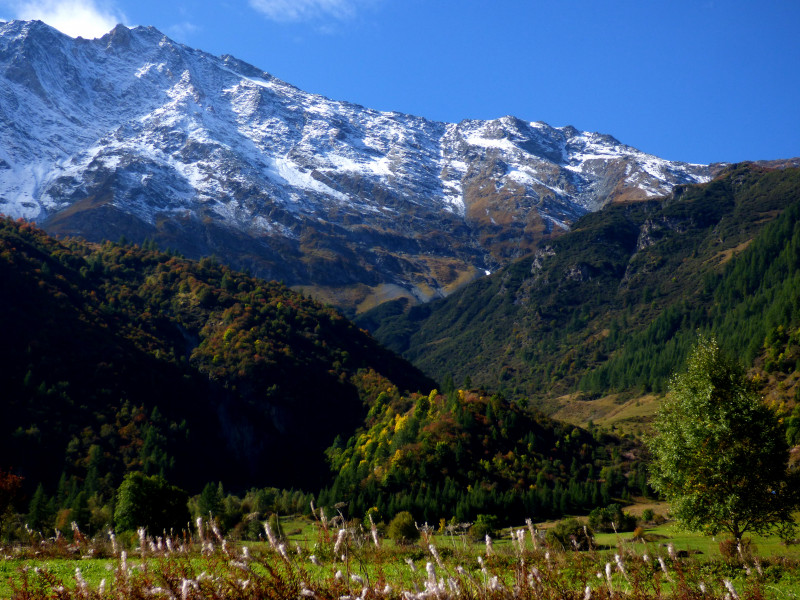 tour de Bellecote tour de Bellecote