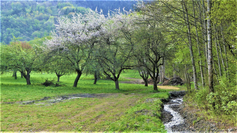 Bief Saint Michel Bief Saint Michel
