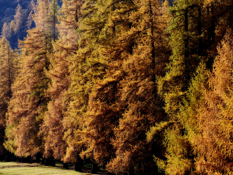 Sentier muséo du palais de la mine Sentier muséo du palais de la mine