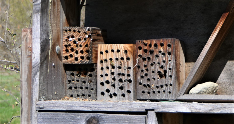 Le Verger de la Balastière